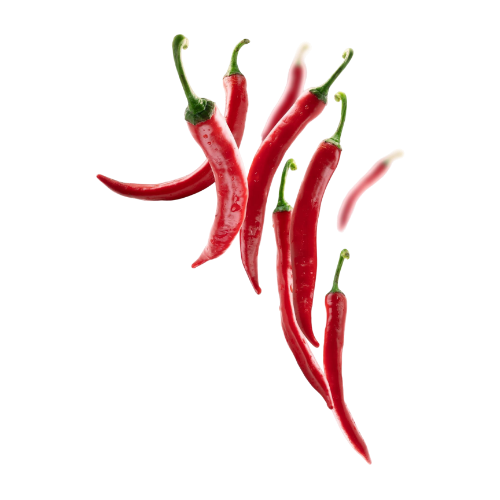 Fresh Ingredients Only - Broodee Chicken